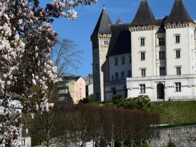 Musée National et Domaine du Château de Pau